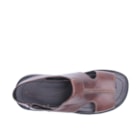 218 506 Castanho5_1-5